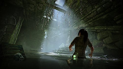 1566113937 683 Shadow of the Tomb Raider - Shadow of the Tomb Raider