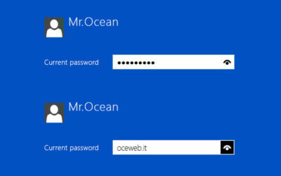 Come disattivare la visualizzazione della password immessa in Windows 8