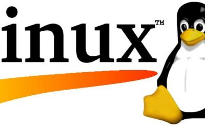 5 video player per Linux