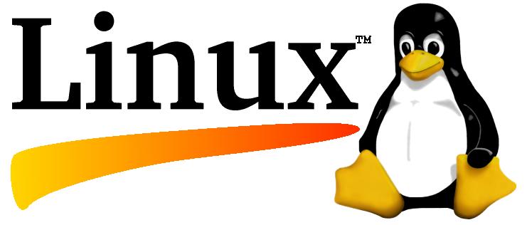 5 video player per Linux