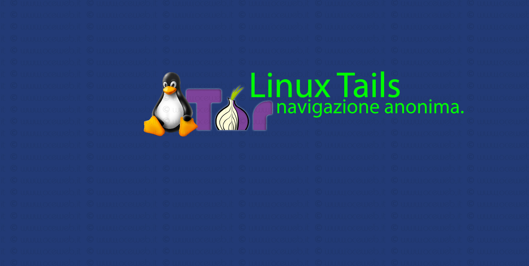 Come navigare in completo anonimato con Linux