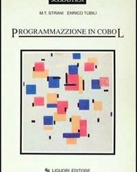 Programmazione in Cobol